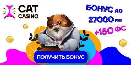 На сайте cat casino